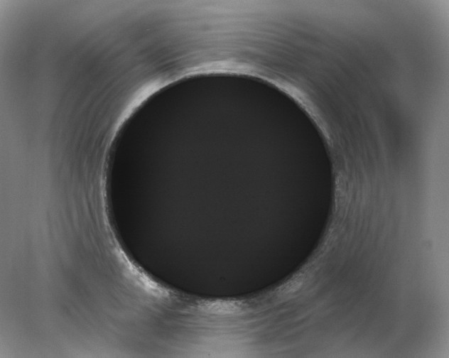 X0000078270998200611172026