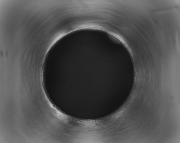 X0000078270999200611172026