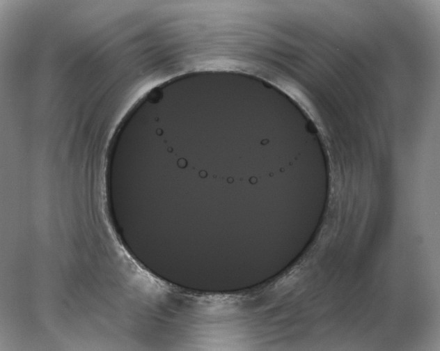 X0000078271000200611172026