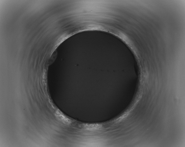 X0000078271001200611172026
