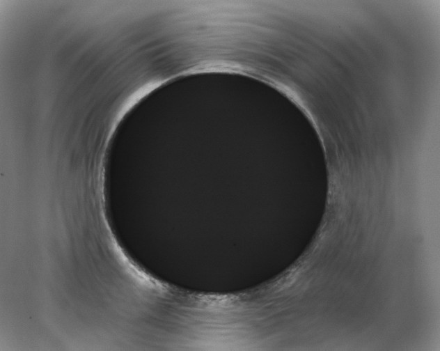 X0000078271003200611172026