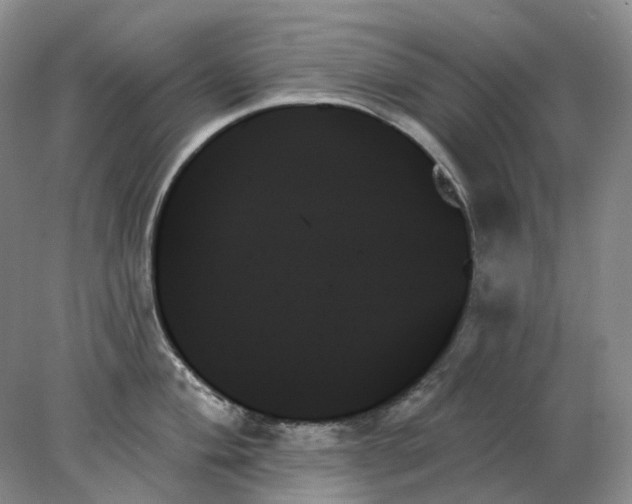 X0000078271004200611172026