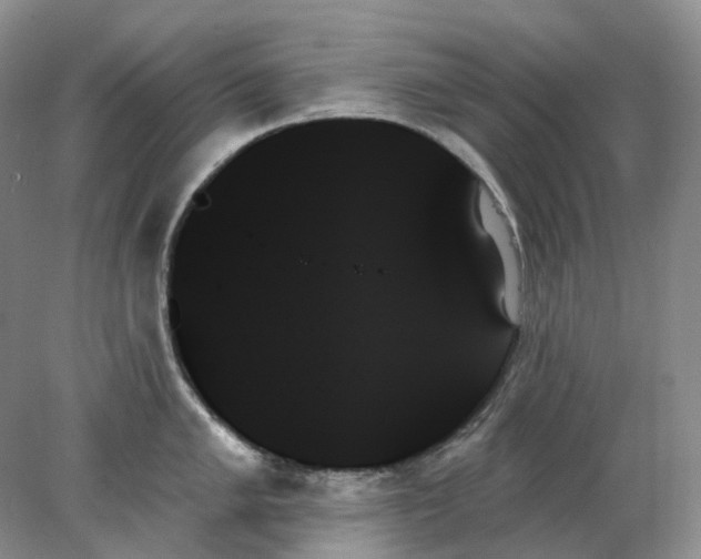 X0000078271005200611172026