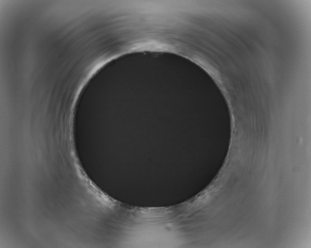 X0000078271008200611172026
