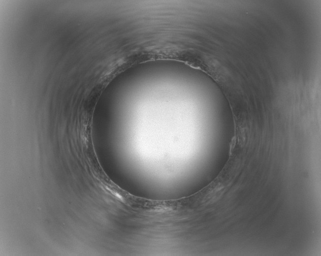 X0000078271010200611172025
