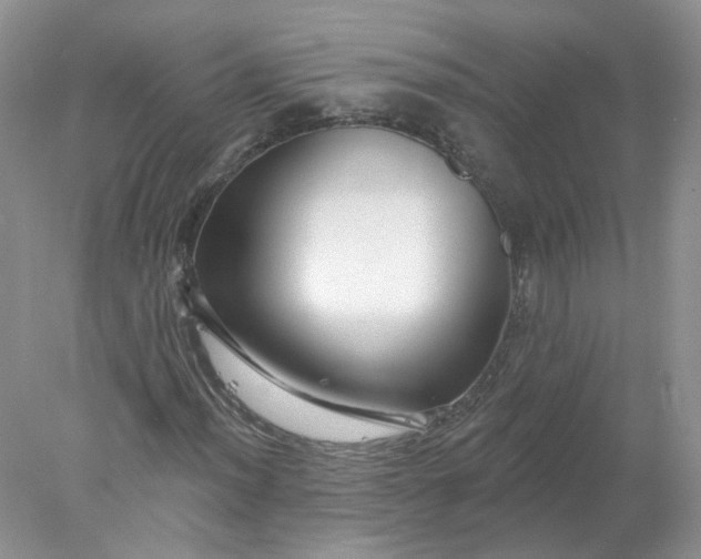 X0000078271012200611172025