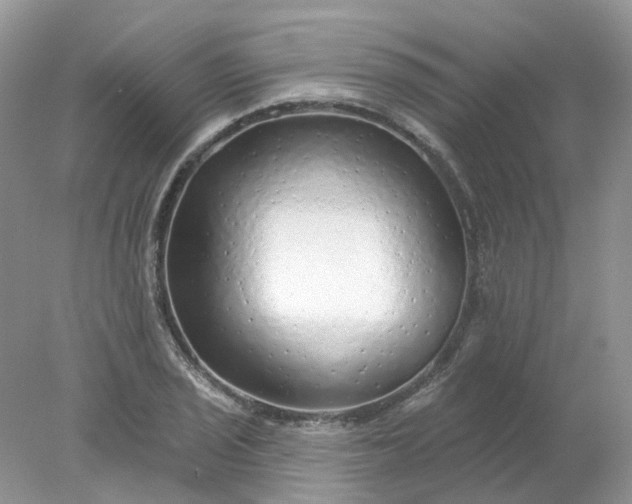 X0000078271029200611172025