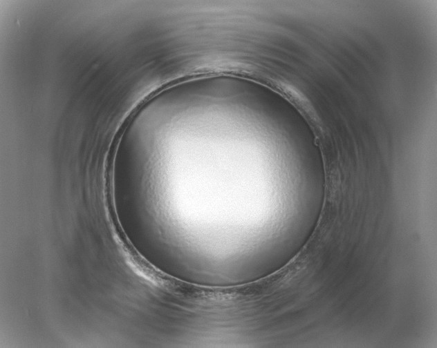 X0000078271039200611172025