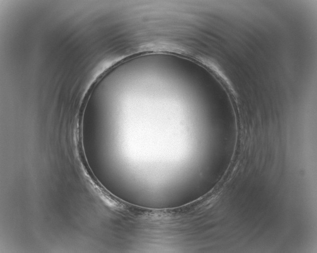 X0000078271040200611172025