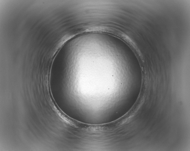 X0000078271041200611172025
