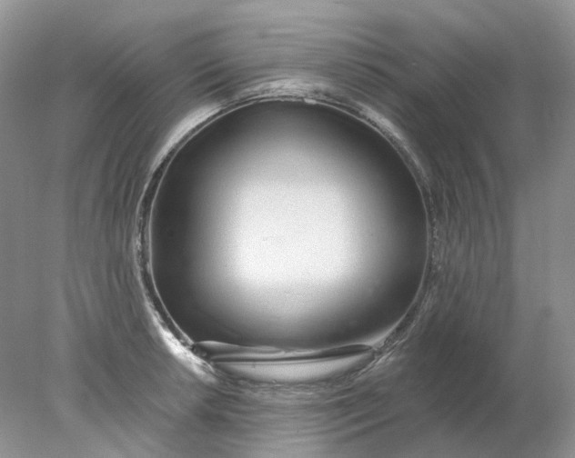 X0000078271042200611172025