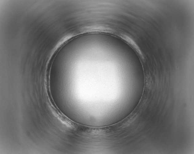 X0000078271043200611172025
