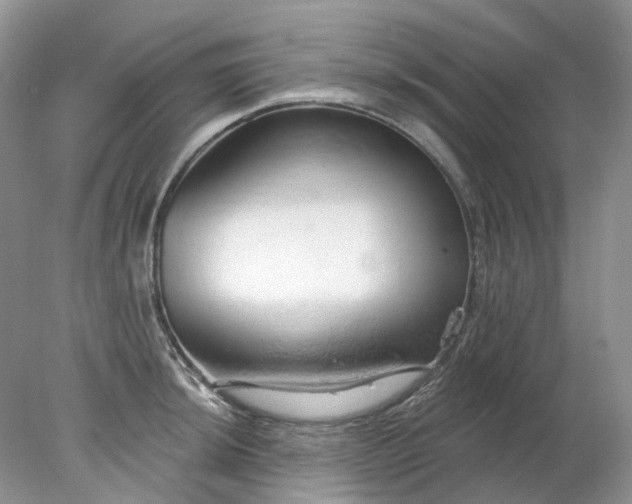 X0000078271044200611172025