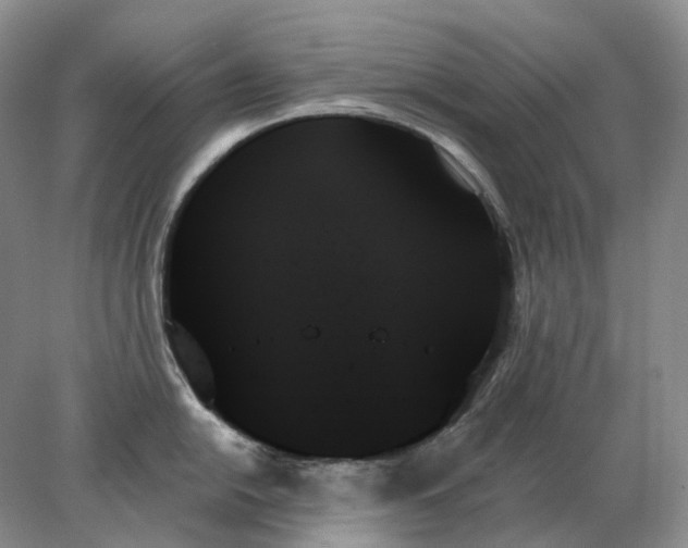 X0000078271054200611172026