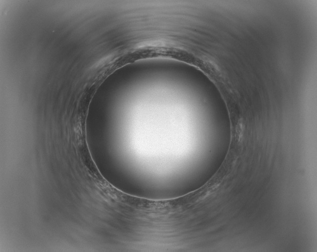 X0000078271062200611172025
