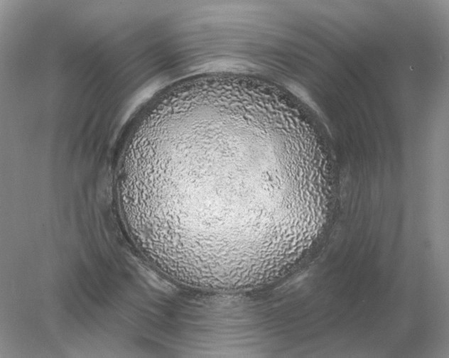 X0000078271067200611172025