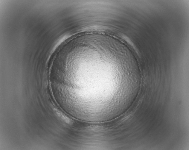 X0000078271075200611172024