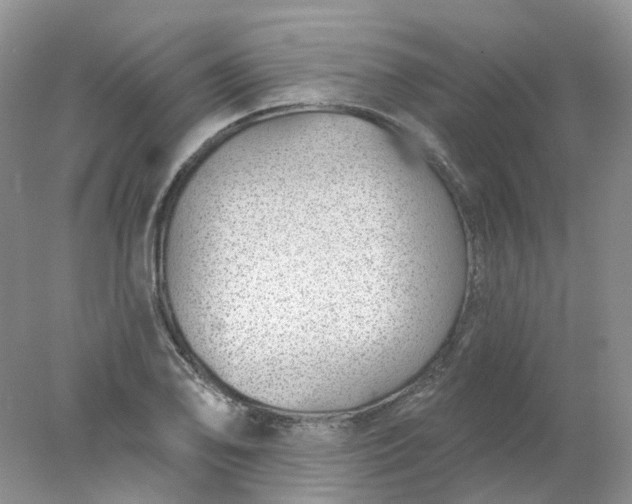 X0000078271078200611172024