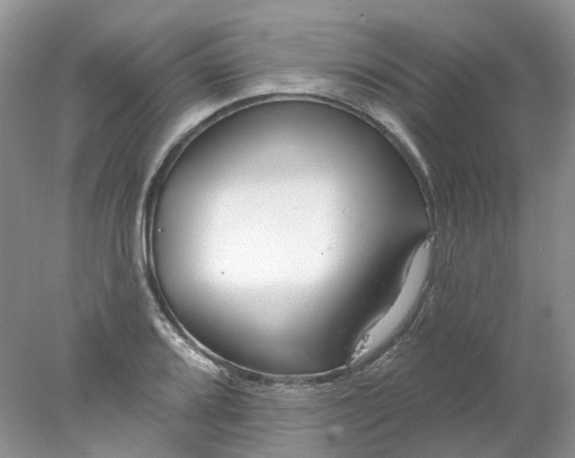 X0000078271080200611172024