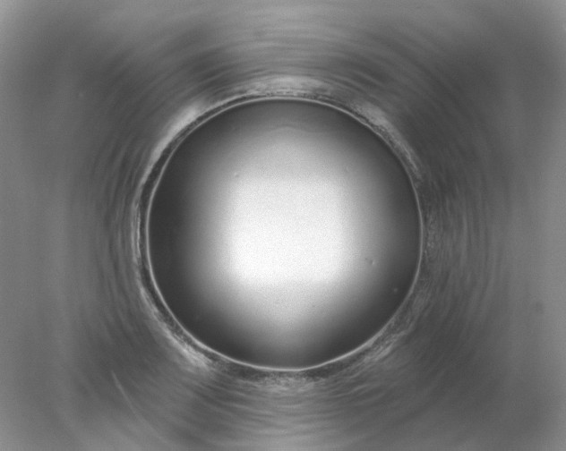 X0000078271083200611172024