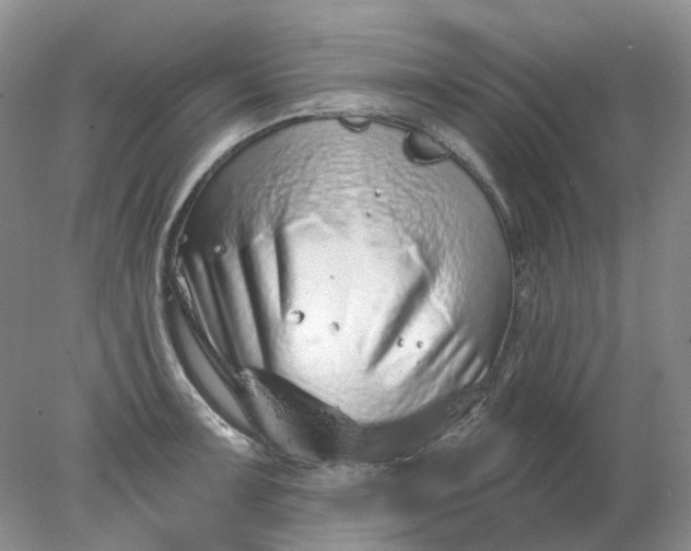 X0000078271091200611172024