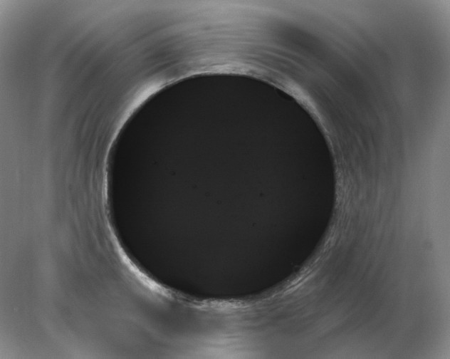 X0000078271095200611172024