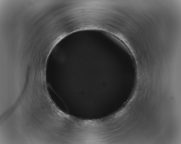 X0000078271097200611172024