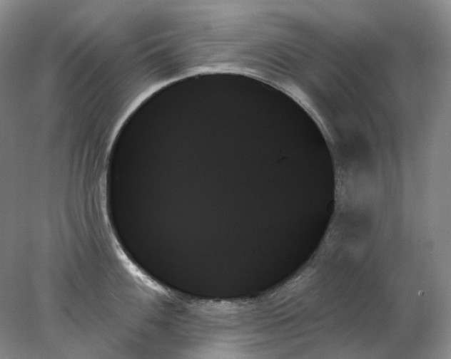 X0000078271100200611172024