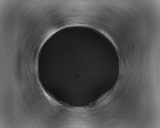 X0000078271101200611172024