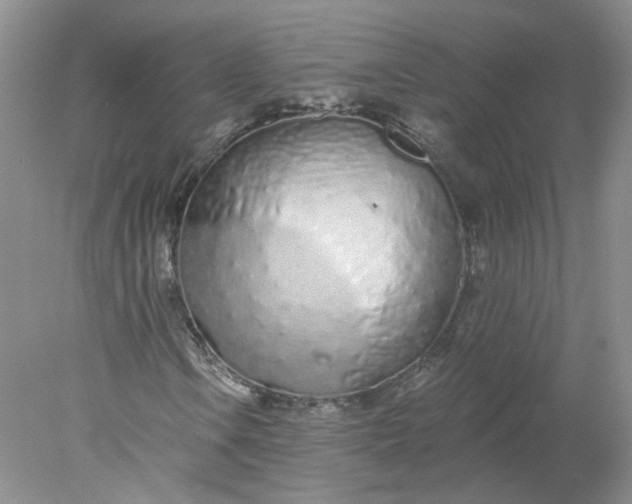 X0000078271106200611172023