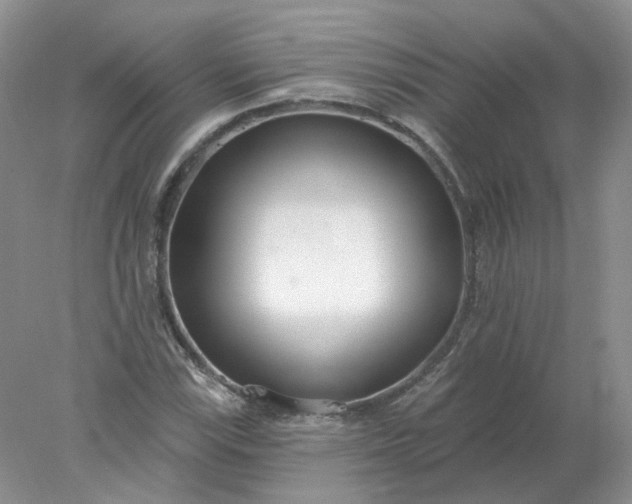 X0000078271115200611172023