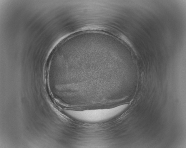 X0000078271124200611172023