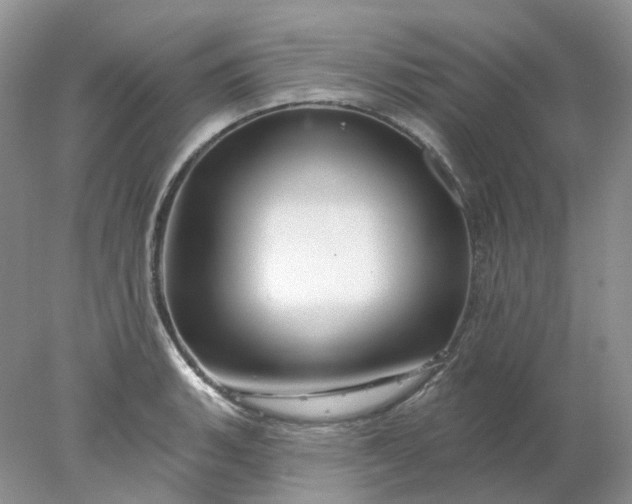 X0000078271135200611172024