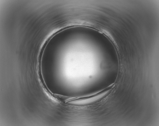X0000078271136200611172024