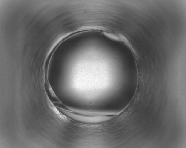 X0000078271140200611172024