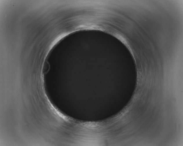 X0000078271141200611172024