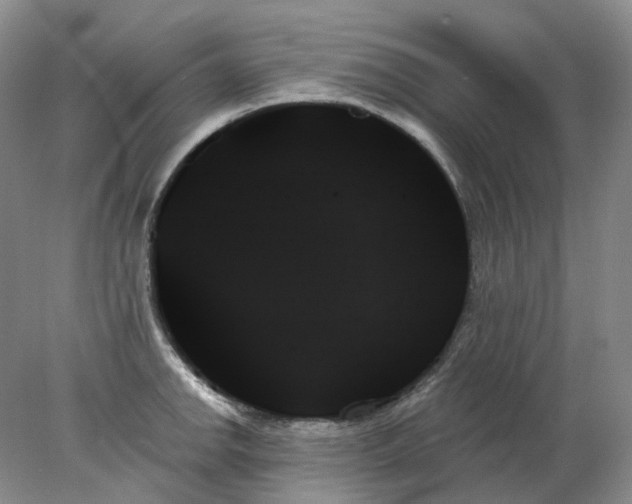 X0000078271142200611172024