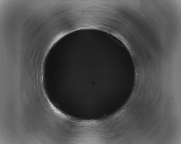 X0000078271143200611172024