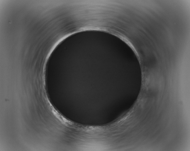 X0000078271148200611172024