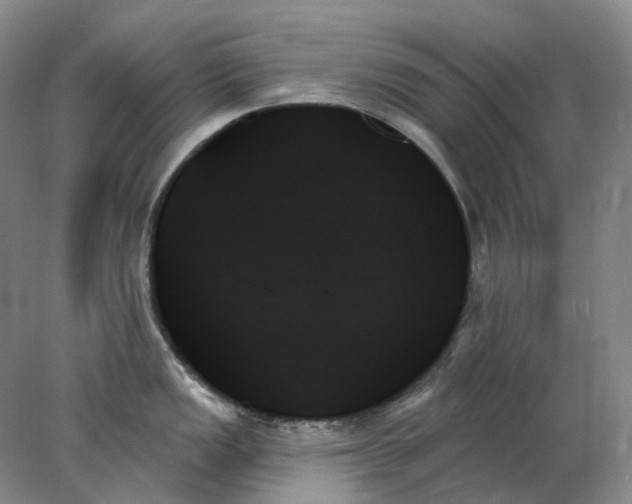 X0000078271149200611172024