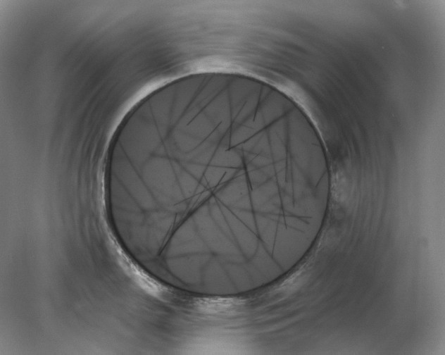 X0000078271150200611172024