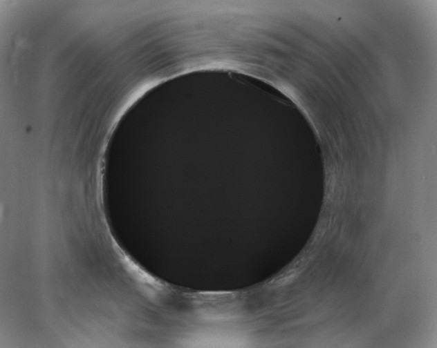 X0000078271151200611172024