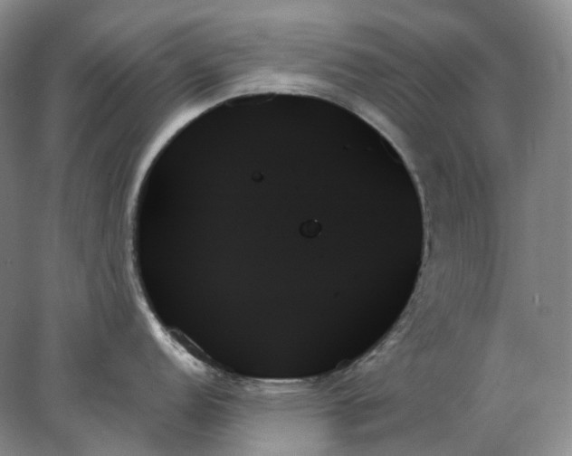 X0000078271152200611172024