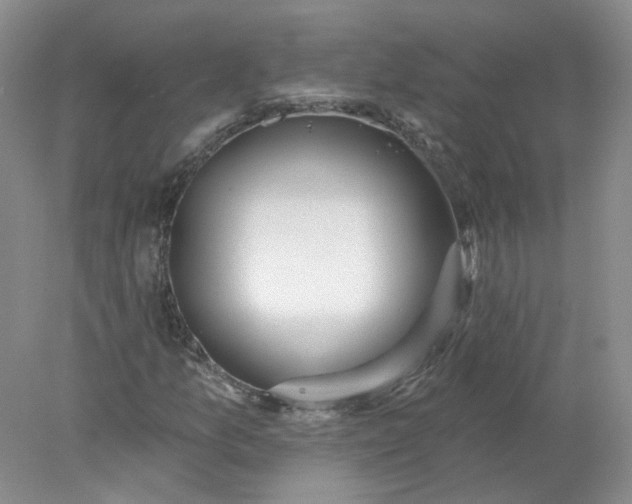 X0000078271157200611172023