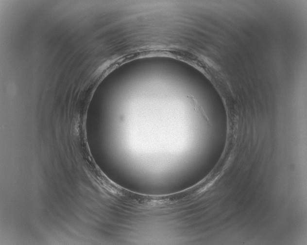 X0000078271161200611172023