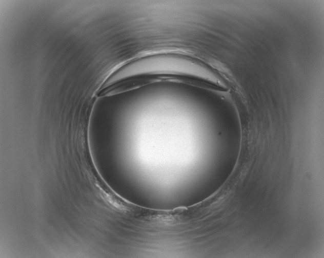 X0000078271177200611172023
