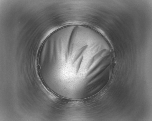 X0000078271187200611172023