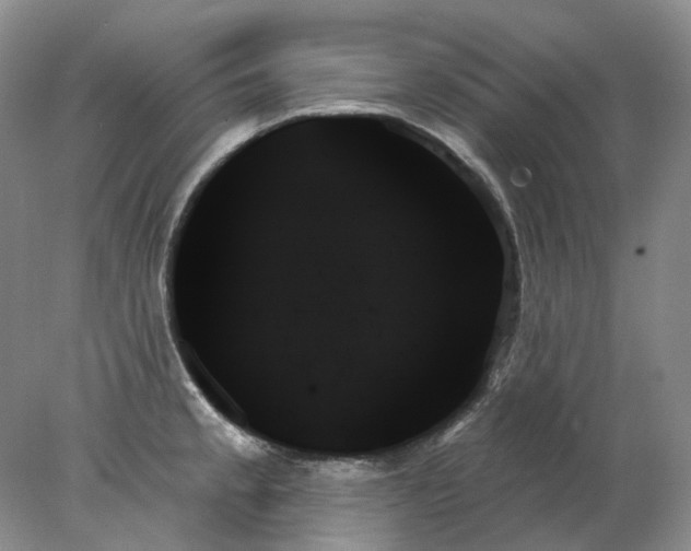 X0000078271189200611172023
