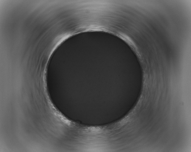 X0000078271190200611172023