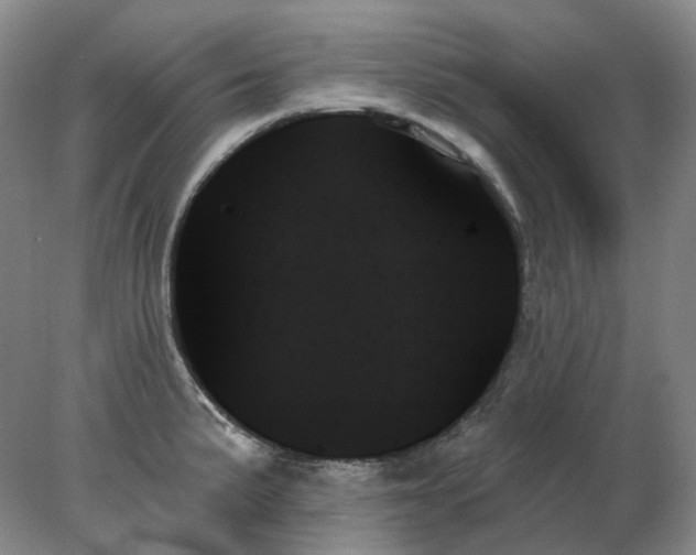 X0000078271191200611172022